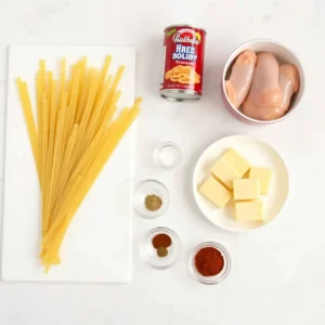 A flat-lay of all the ingredients: uncooked pasta, a can of Rotel, chicken breasts, spices, and cheese blocks.
